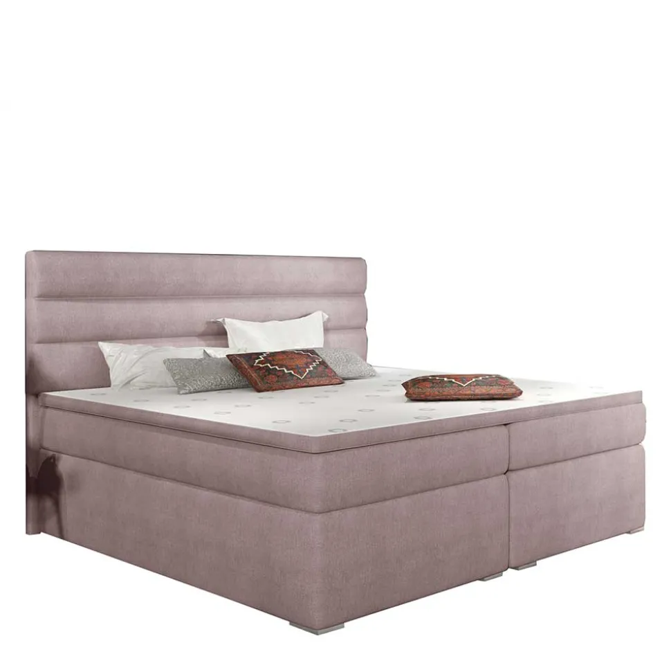 Polster Bett Belfast