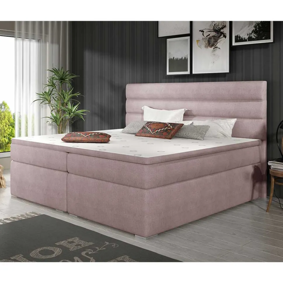 Polster Bett Belfast