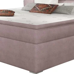 Polster Bett Belfast