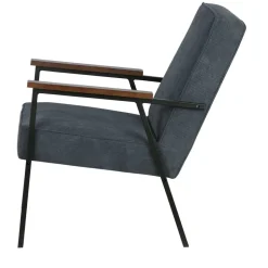 Polstersessel Xasimir