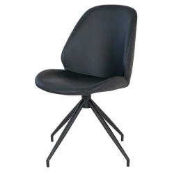 Polsterstühle Esszimmer Didier