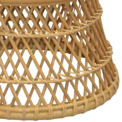 Retro Rattan Sessel Adendro