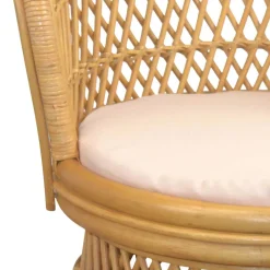 Retro Rattan Sessel Adendro