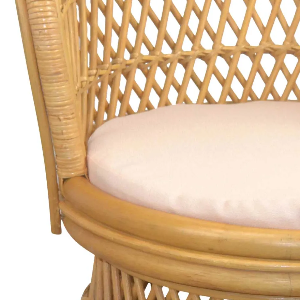 Retro Rattan Sessel Adendro