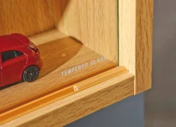 Sammlervitrine Quick