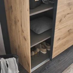 Schiebetürenschrank Bagolds