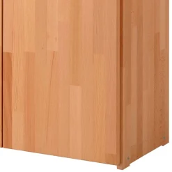 Schrank Büro Massivholz Len