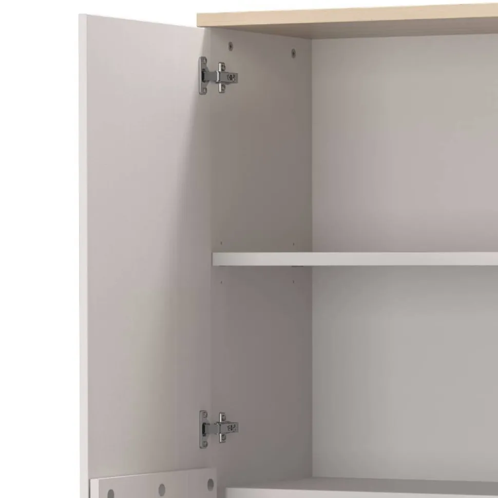 Schrank Büro Sanu