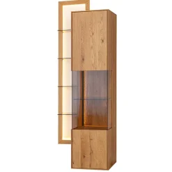 Schrank Vitrine mit Regal Rusaly