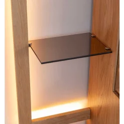 Schrank Vitrine mit Regal Rusaly