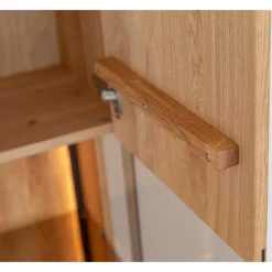 Schrank Vitrine mit Regal Rusaly