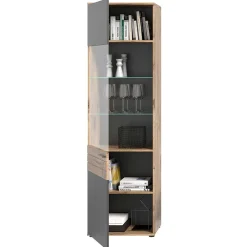 Schrankwand Wohnzimmer Plestna
