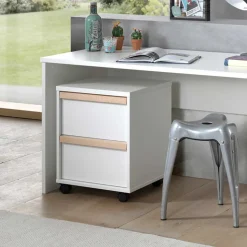 Schreibtisch Rollcontainer Handican