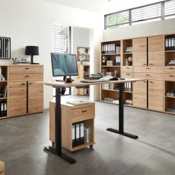 Schreibtischcontainer Carsons