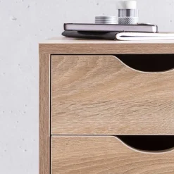 Schreibtischrollcontainer Vilas