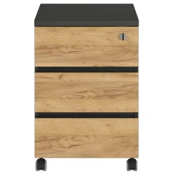 Schreibtischrollcontainer Charin