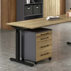 Schreibtischrollcontainer Tordian