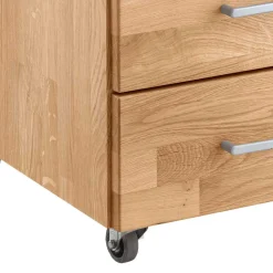 Schreibtischrollcontainer Legancas