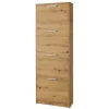 Schuhklappenschrank Yanicol