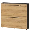 Schuhschrank Ricuzen
