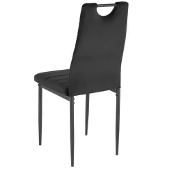 Schwarze Hochlehner Ainbols
