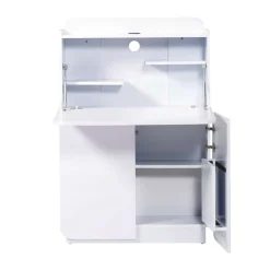 Sekretär Shaker