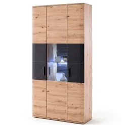 Standvitrine Lucisa