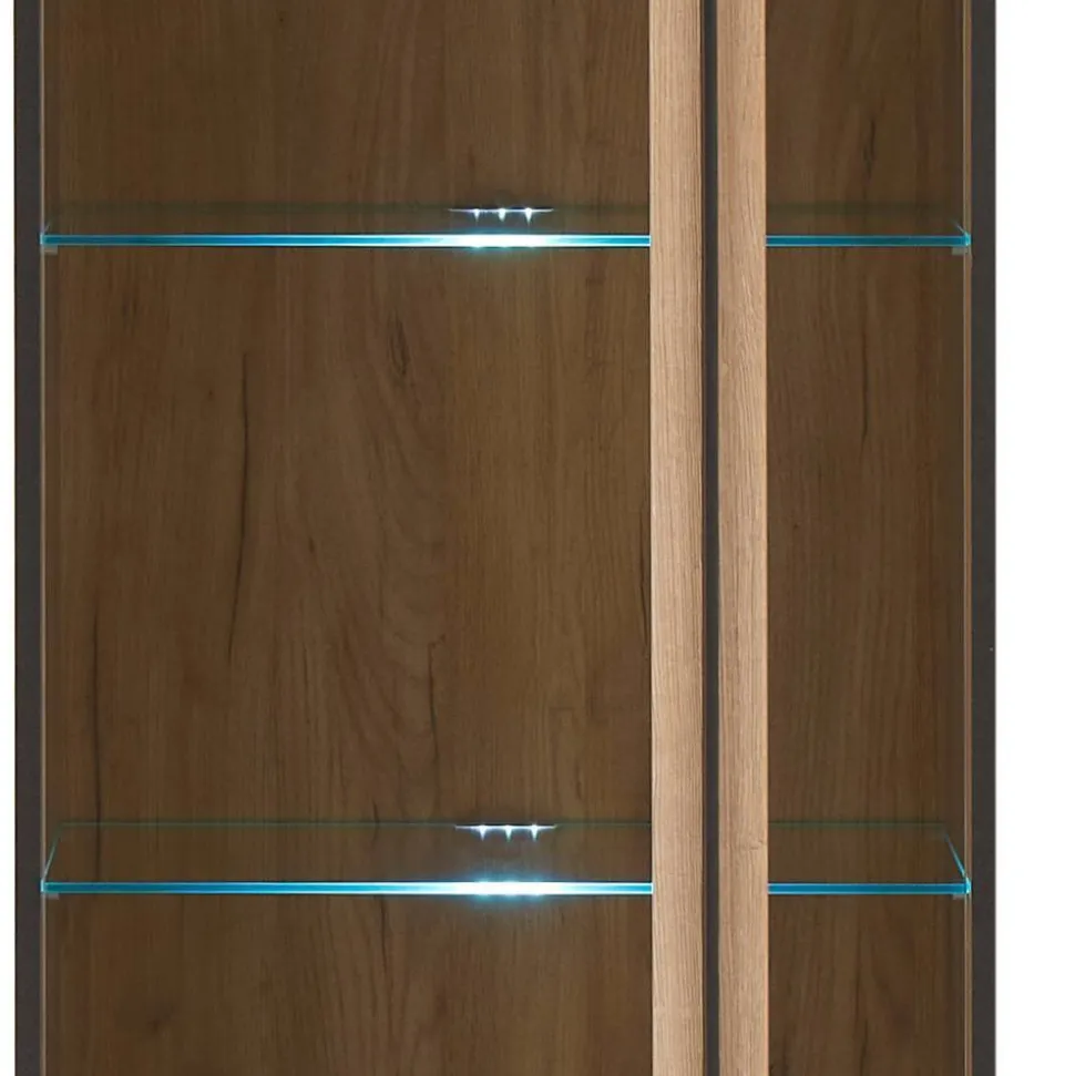 Stauraumvitrine Cemutra