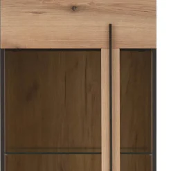 Stauraumvitrine Cemutra