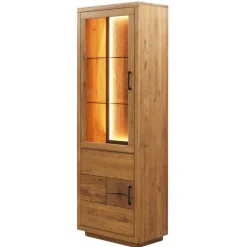 Stauraumvitrine Lasito