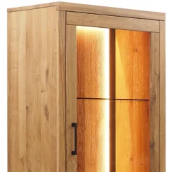 Stauraumvitrine Lasito