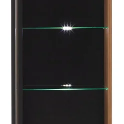 Stauraumvitrine Sisam