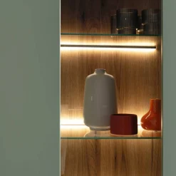Stauraumvitrine Tristan