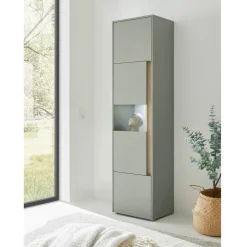 Stauraumvitrine Ulfava