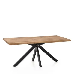 Tisch mit Spidergestell Tanazon