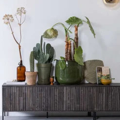 TV Lowboard Foliage