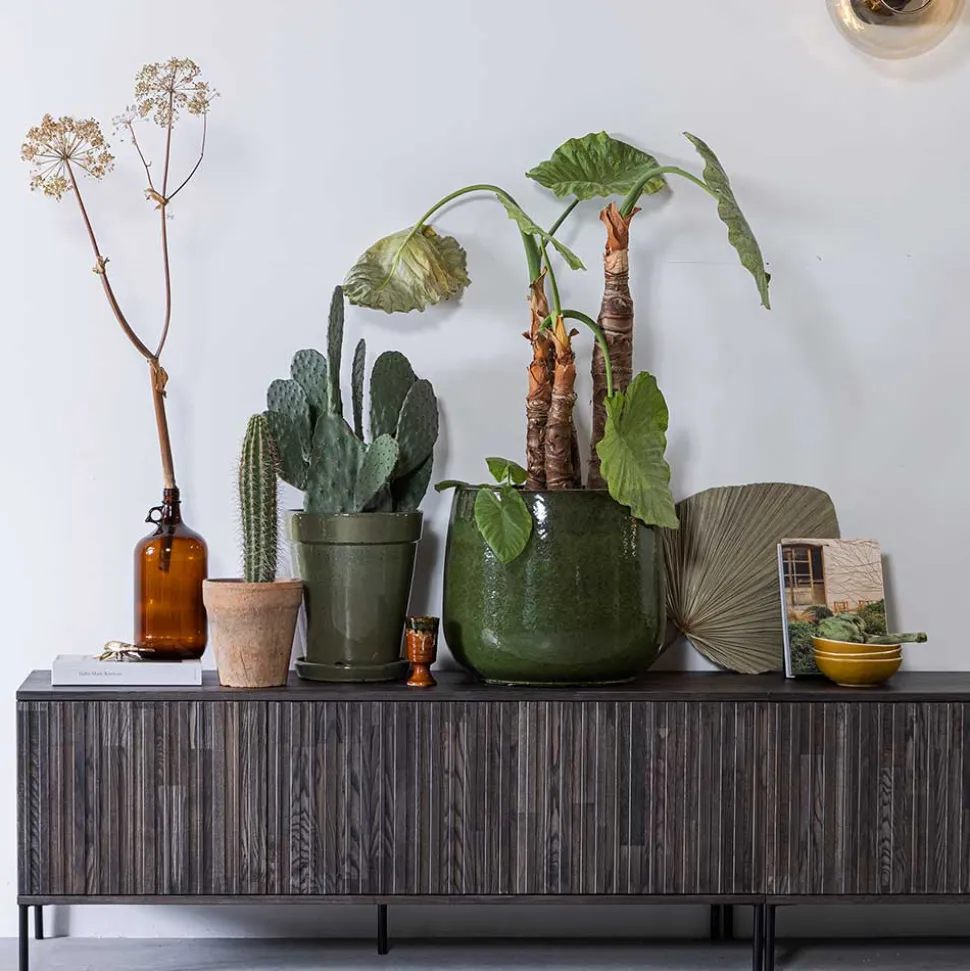 TV Lowboard Foliage