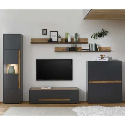 TV Schrankwand Uzniana