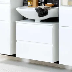 Unterbeckenschrank Lectrio