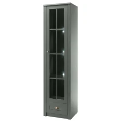 Vitrine Clujia