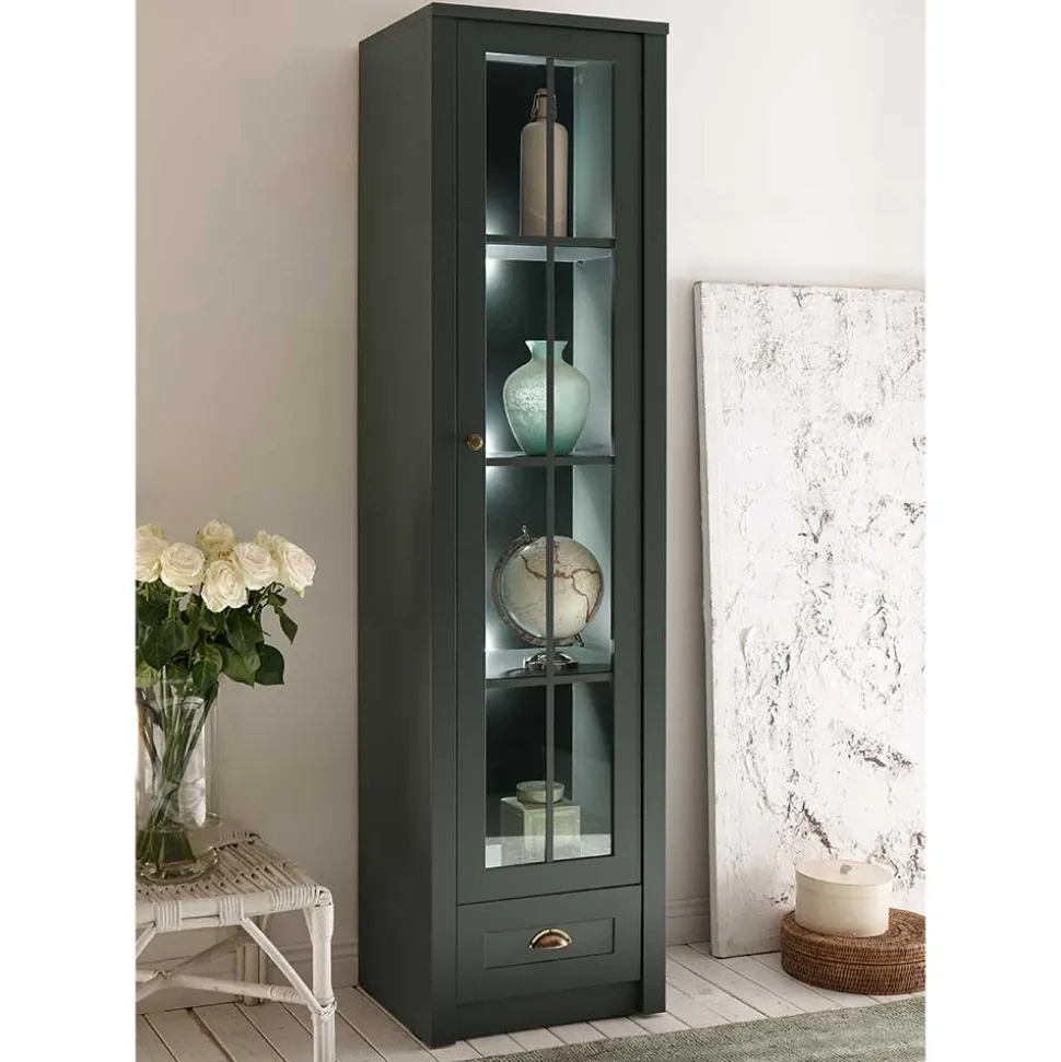 Vitrine Clujia