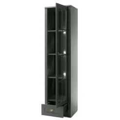 Vitrine Clujia