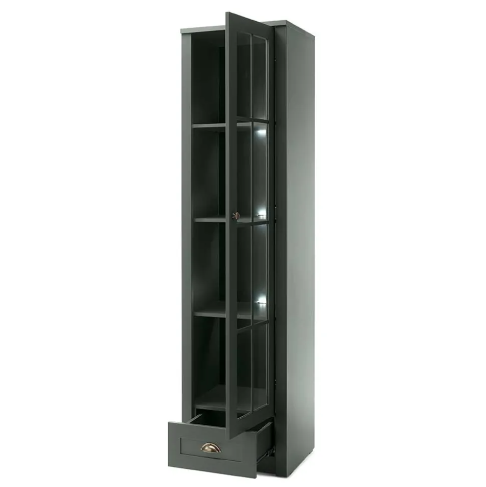 Vitrine Clujia