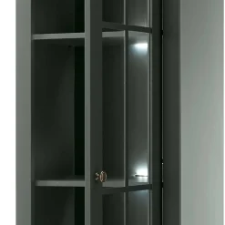 Vitrine Clujia