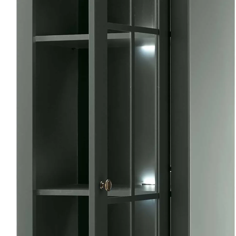 Vitrine Clujia