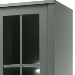 Vitrine Clujia