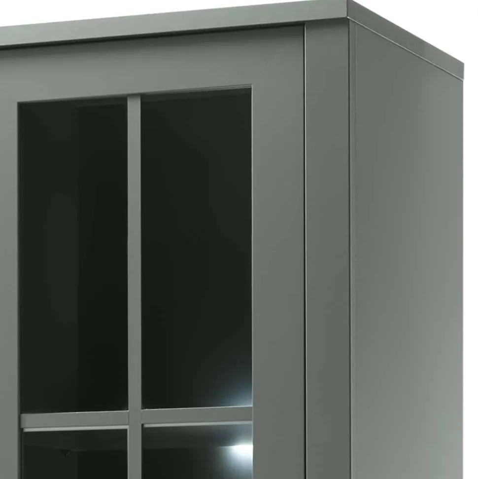 Vitrine Clujia