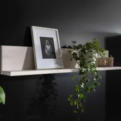 Wandboard Caseloda