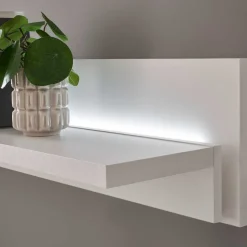 Wandboard Constantin