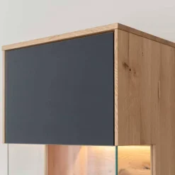 Wandvitrine Lakosion